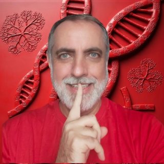 Гармония исцеления