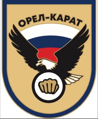 МБУ ДО «Спортивная школа «Орел-Карат»
