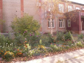 МКОУ "Черноярская СОШ"