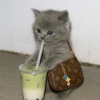 Кира Рокнролла