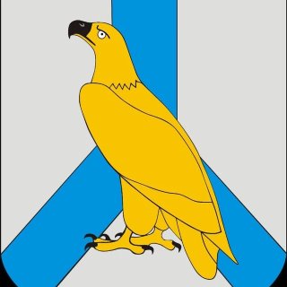 Дума Дальнереченского городского округа