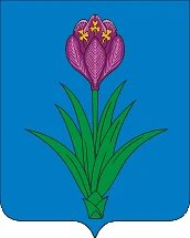 АМС Моздокское городское поселение