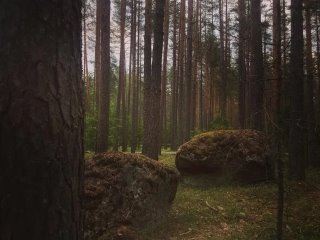 Karjala ᥫ᭡Travel.Guide