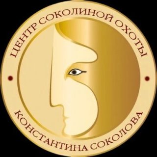 Центр соколиной охоты Константина Соколова