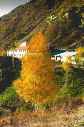 МКОУ "Начадинская СОШ"