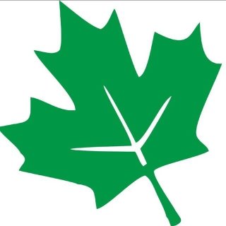 Питомник р9 Летний сад: растения для бизнеса