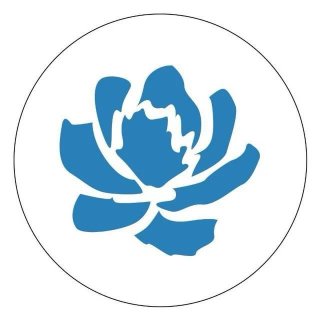 УКМиС Абакан