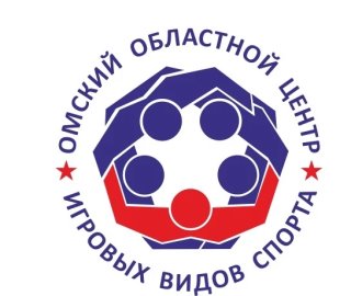 "Центр игровых видов спорта"