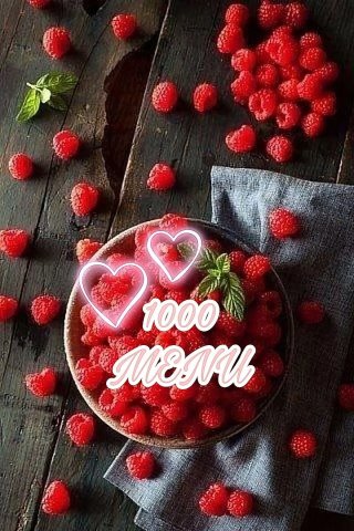 РЕЦЕПТЫ 1000 MENU