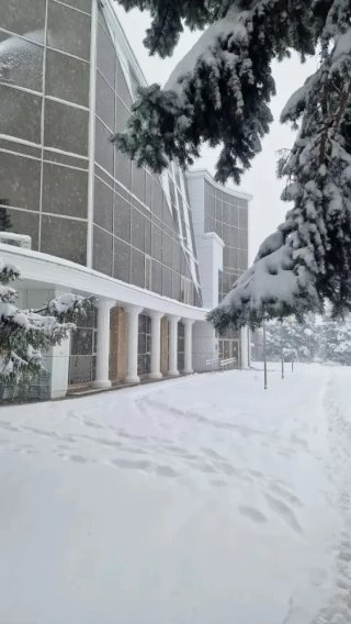 МАУДО ДШИ им. Г.Ф. Пономаренко ст. Выселки МО Выселковский район