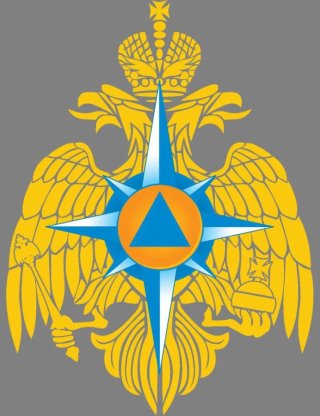 МБУ МО ГК Управление по делам ГО и ЧС