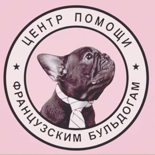 Помощь французским бульдогам