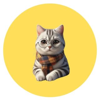 Мир Дошкольника