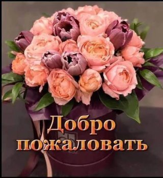 Открытки, поздравления, подарки!