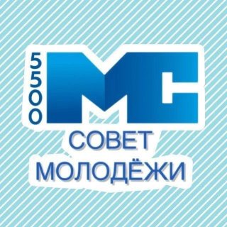 Совет молодежи ФНС_55