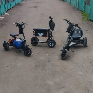 НАСЕКОМОЕ 85