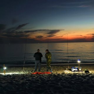 Камбала чат