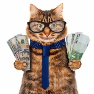 … и пассивный доход | AnnMsk