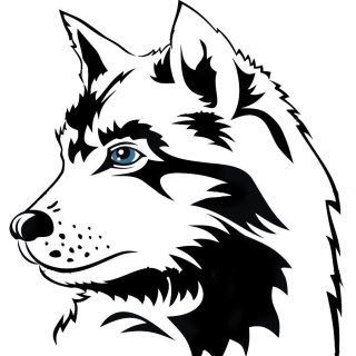 Ладный стан ждёт в гости 🐾🐾🐾