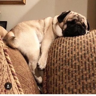 Эстетика пофигизма