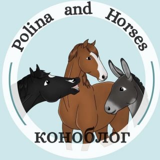 Polina and Horses | коноблог
