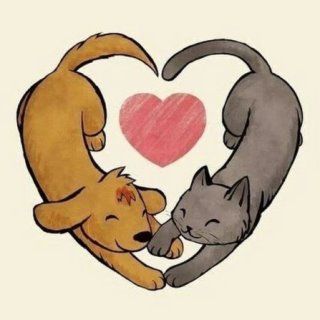 Зоомагазин с. Аскарово