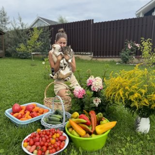 Истринский фермер-юрист 👩🏼‍🌾