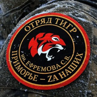 Жизнь Тигров