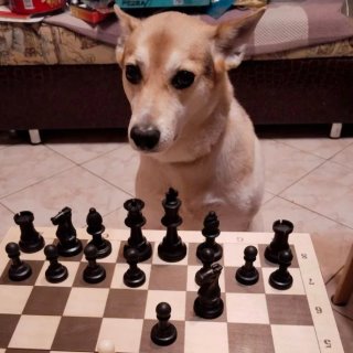 Mâybefutureartist v Max