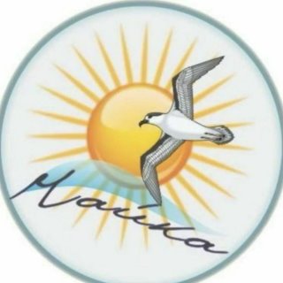 МБОУ СОШ №9 ДО "Чайка"