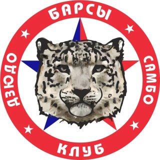 БАРСЫ самбо и дзюдо