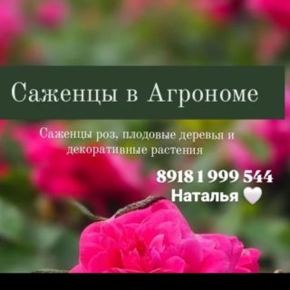 Саженцы в Агрономе  "У Натальи" розы , плодовые и декоративные растения