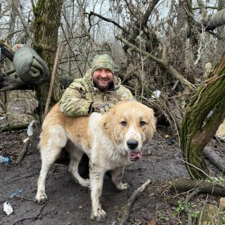 Иван Утенков | Новости🇷🇺