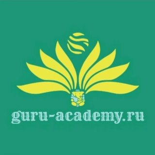 Guru Academy