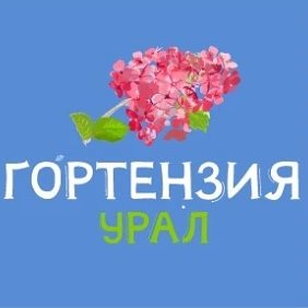 Гортензия Урал