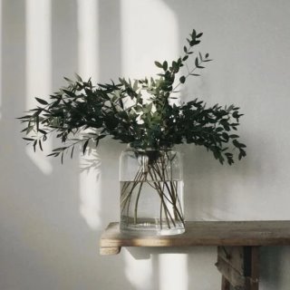 Светлая сторона