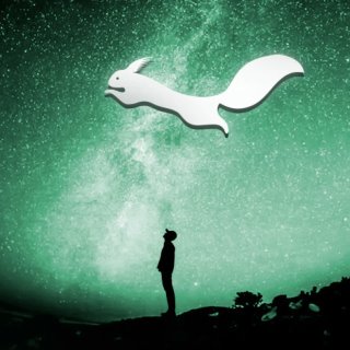 В поисках Гайки