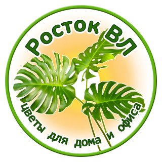 🌱РостокВл🌱 Магазин-Галерея комнатных растений