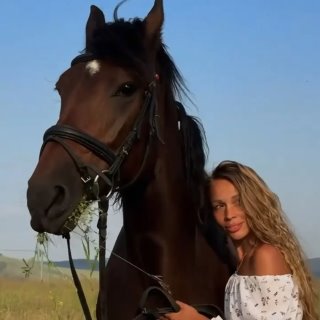 Донские конюшни