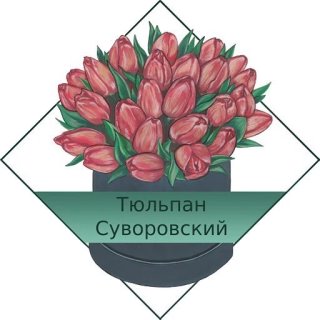 Тюльпан Суворовский