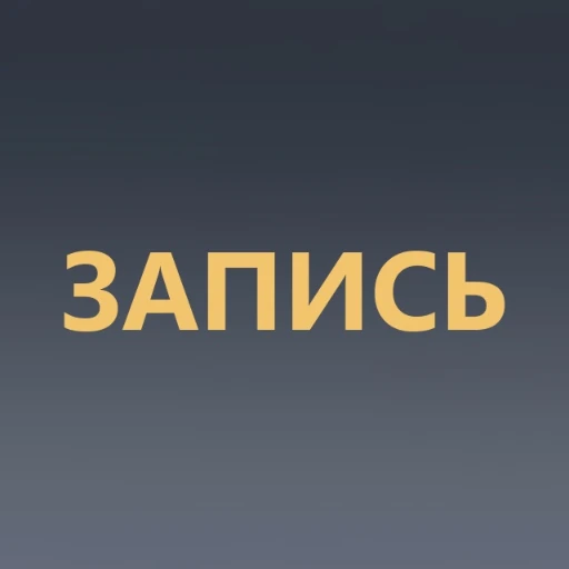 ip_bez_paniki_bot