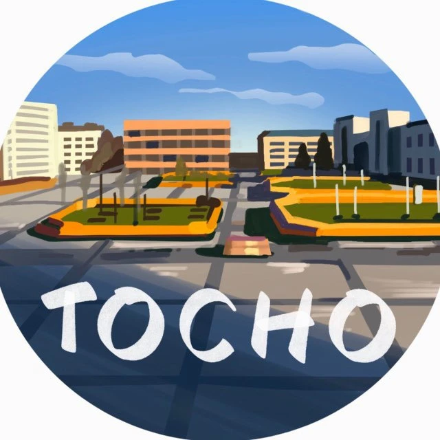 Тосно ( Питер , СПб , Санкт-Петербург )