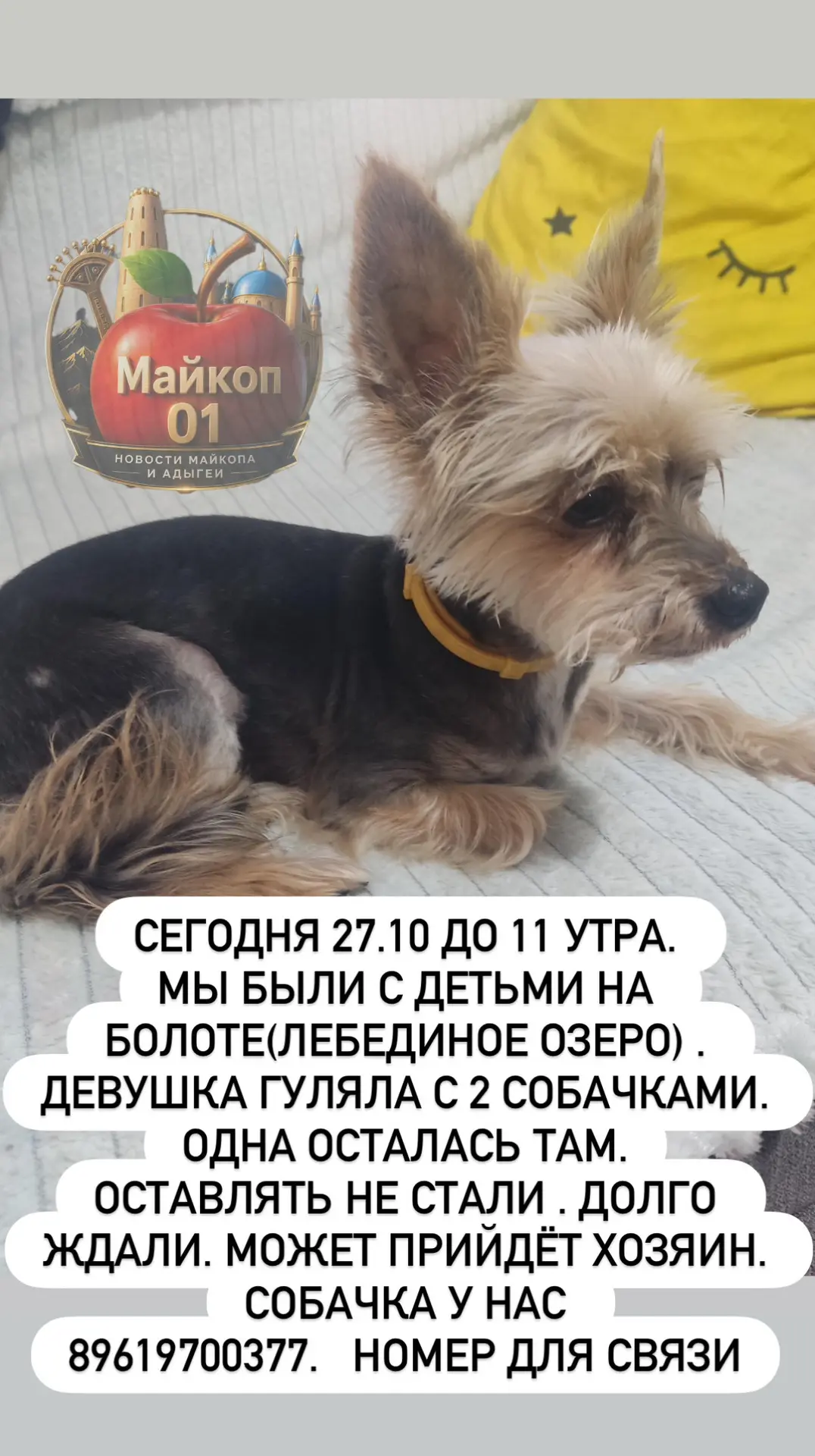 Изображение из сообщения канала