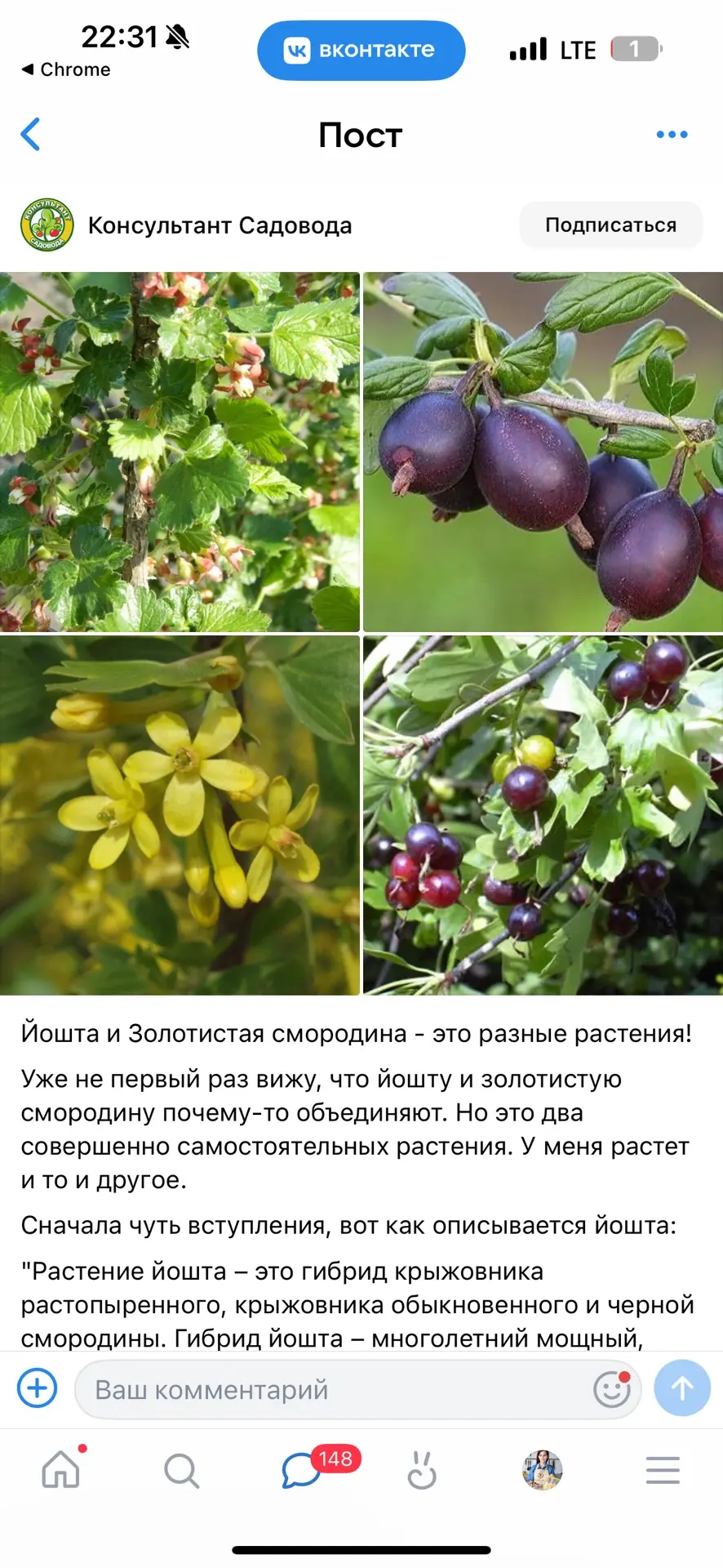 Изображение из сообщения канала