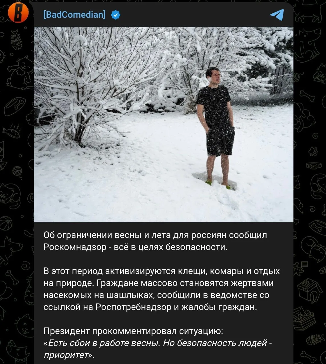 Изображение из сообщения канала