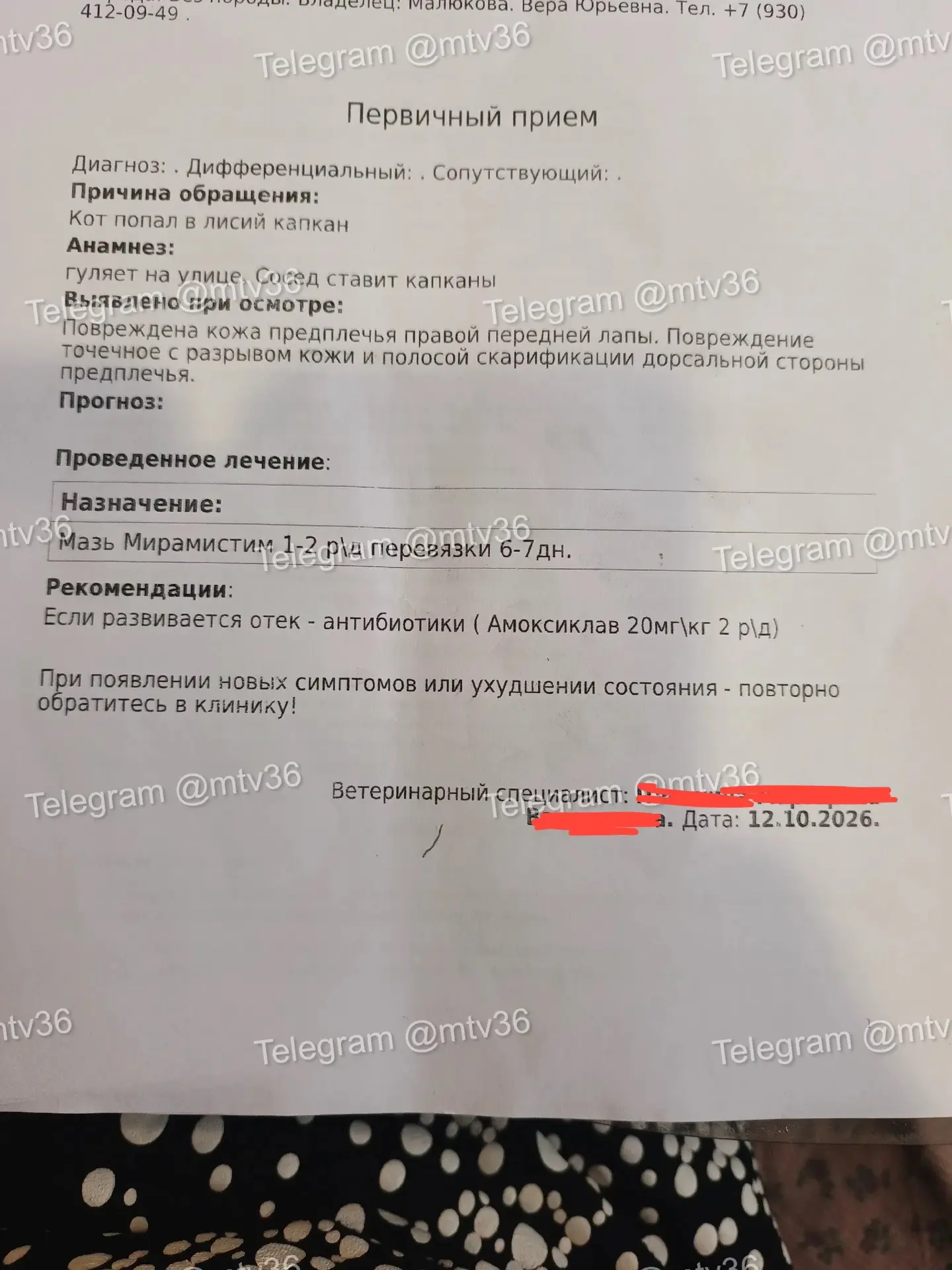 Изображение из сообщения канала