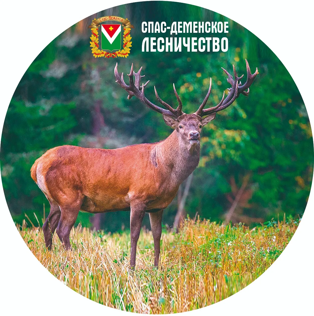 ГКУ КО "Спас-Деменское лесничество"