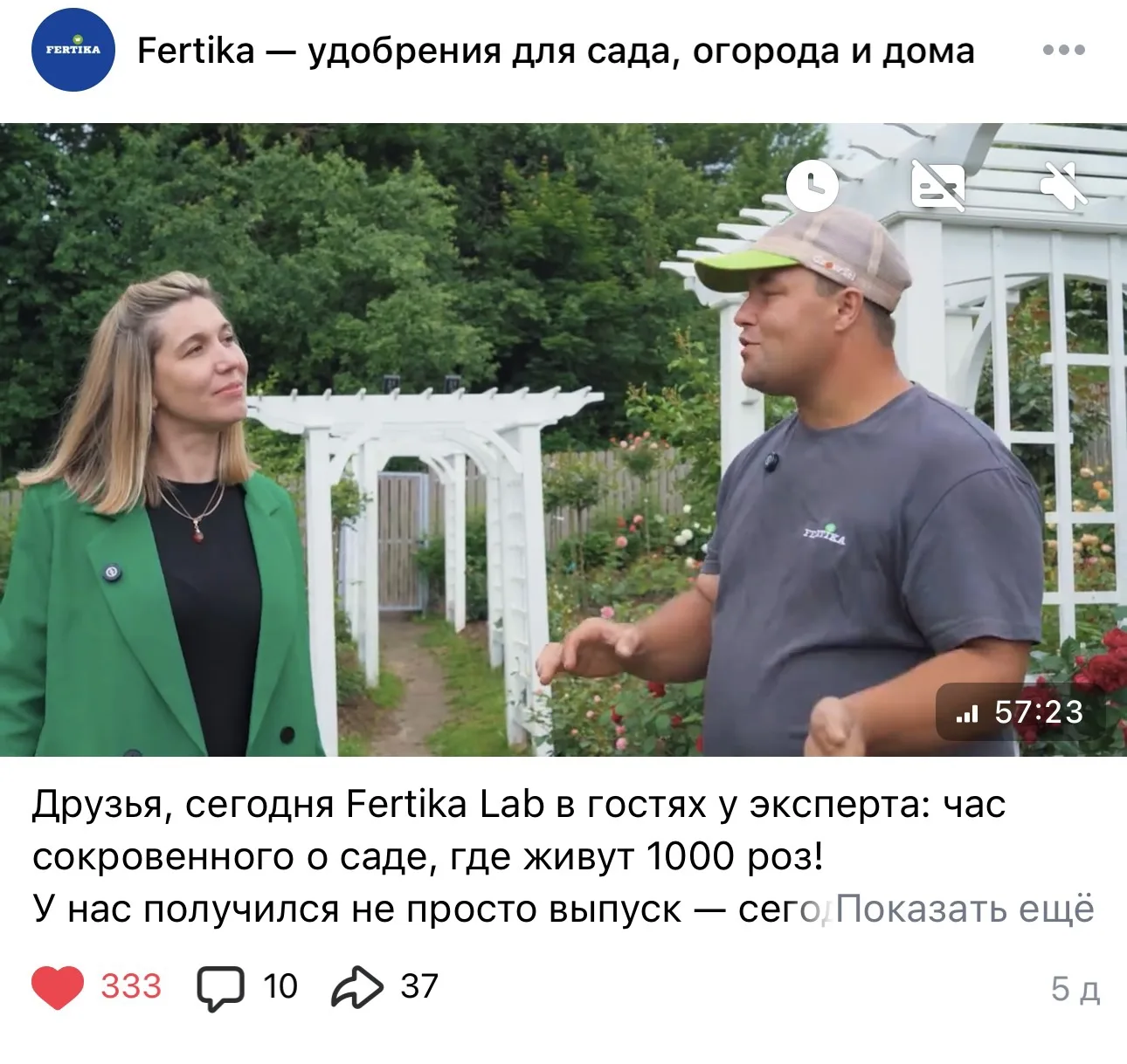 Изображение из сообщения канала