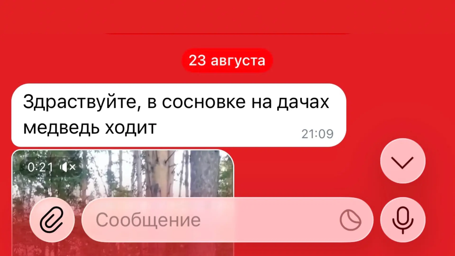 Изображение из сообщения канала