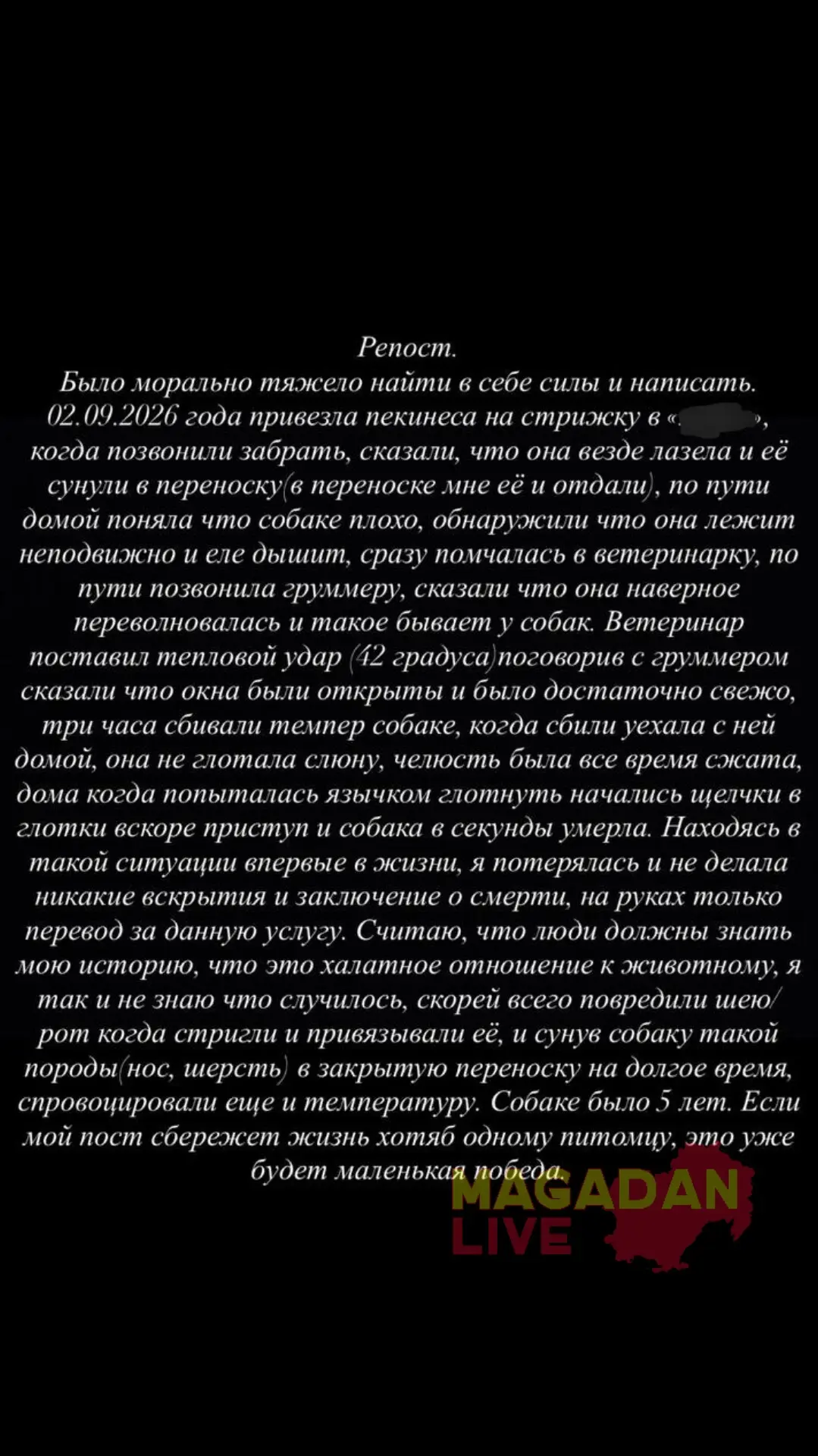 Изображение из сообщения канала